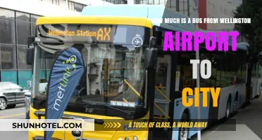 Exploring Wellington: Airport to City Bus Fare Guide