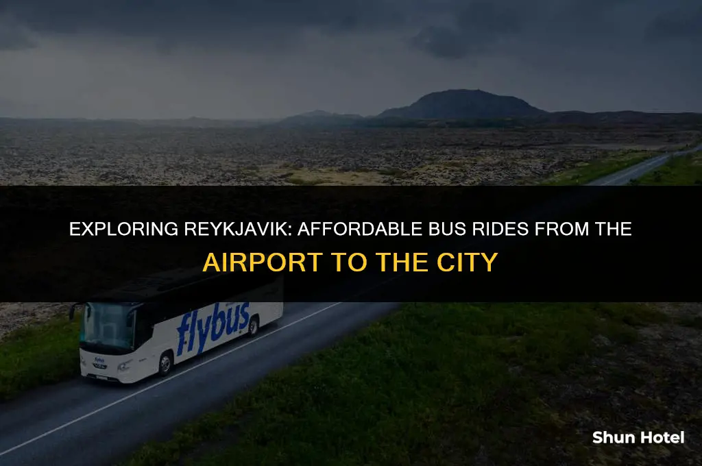 how much is a bus ride from airport to reykjavik