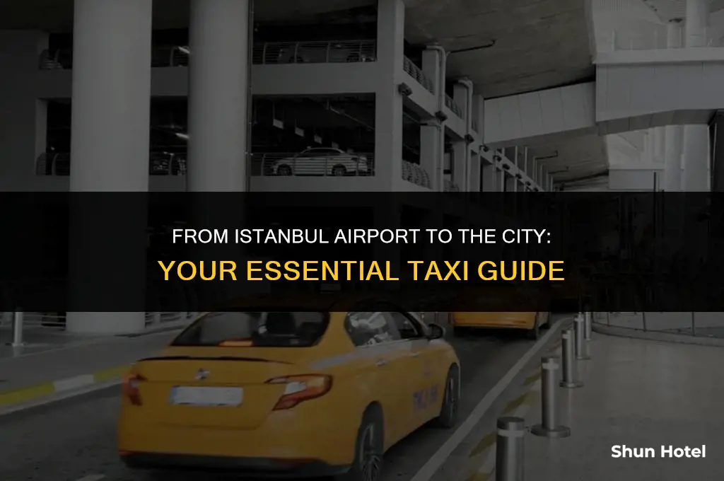 how much is a cab from istanbul airport to city