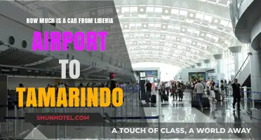 Liberia Airport to Tamarindo: Your Essential Taxi Fare Guide