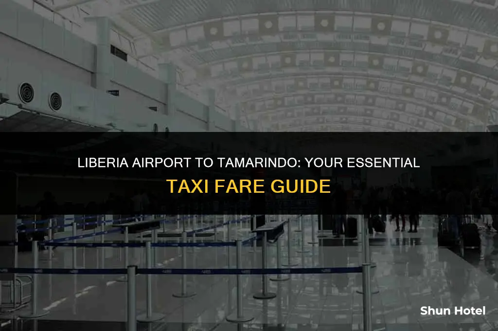how much is a cab from liberia airport to tamarindo