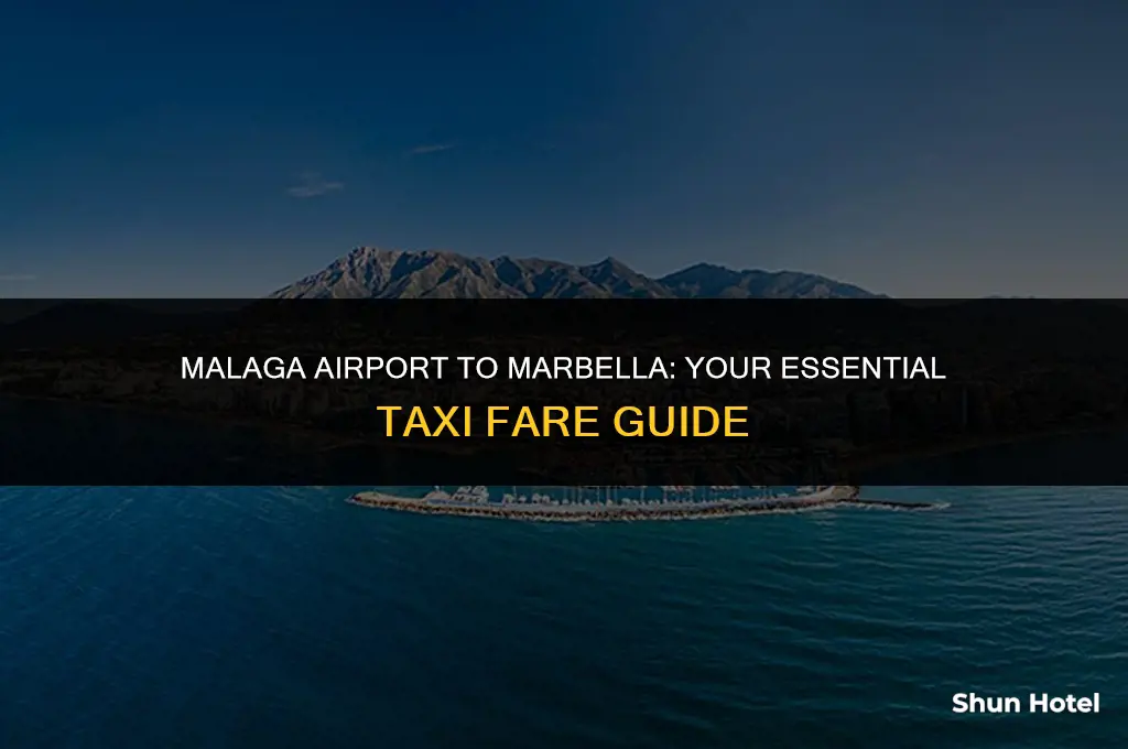 how much is a cab from malaga airport to marbella