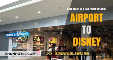 Orlando Airport to Disney: Unveiling the True Cost of Your Magical Ride
