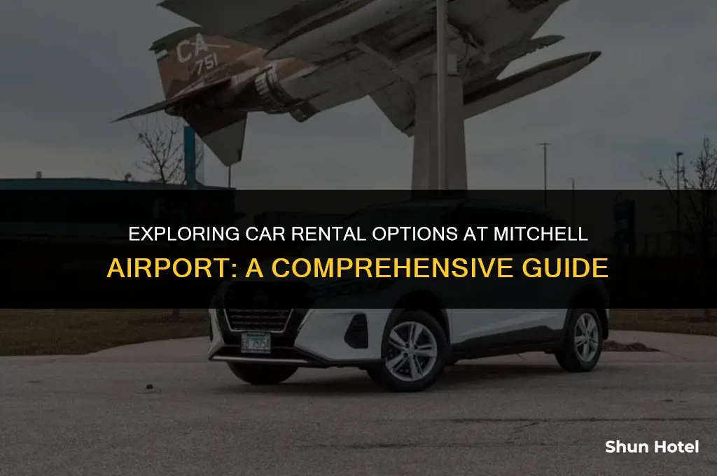 how much is a car rental from mitcheleairport bzn airport