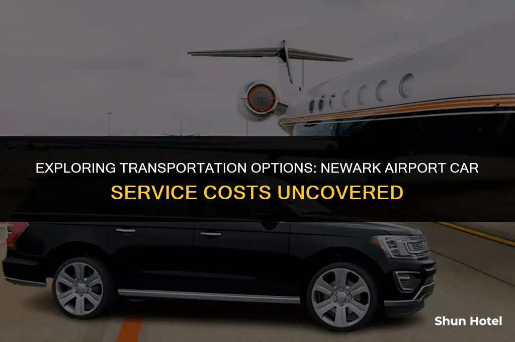 how much is a car service to newark airport