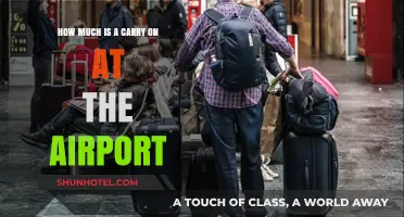 Airport Essentials: The Cost of Carrying On