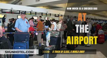 The Cost of Convenience: Airport Checked Bag Fees Explained