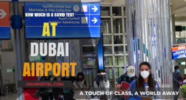 COVID Testing Costs at Dubai Airport: What You Need to Know