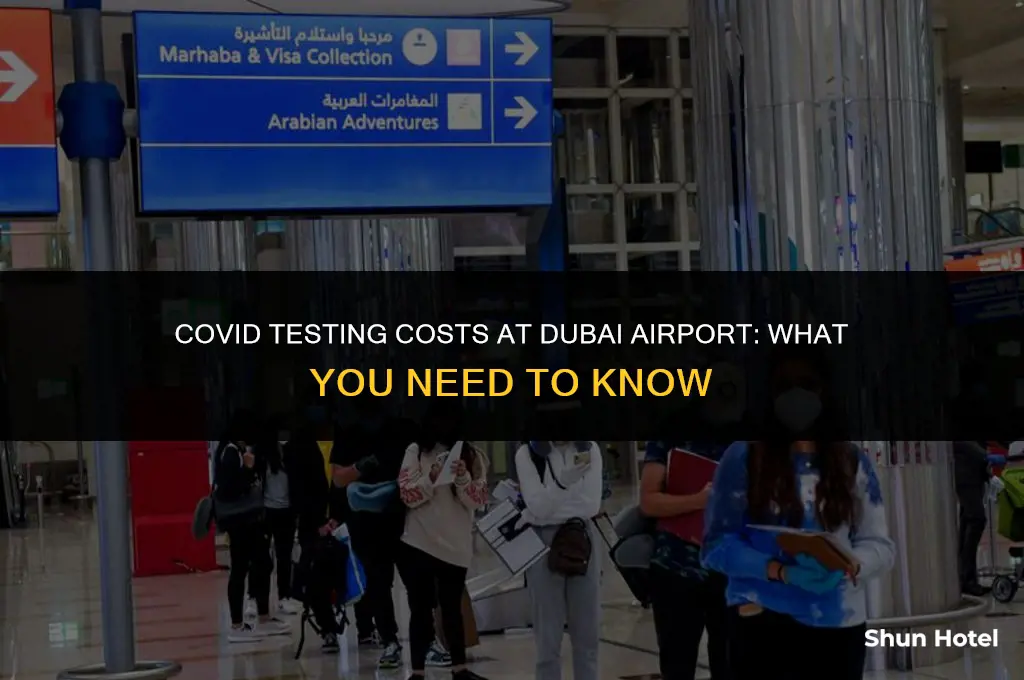 how much is a covid test at dubai airport