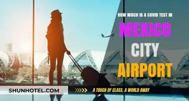 COVID Testing Costs at Mexico City Airport: What You Need to Know