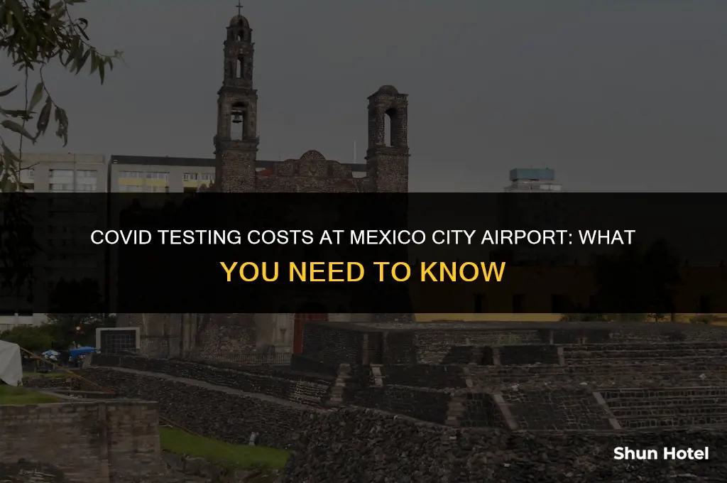 how much is a covid test in mexico city airport