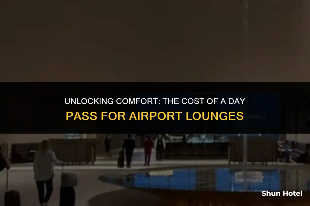 how much is a day pass for airport lounges