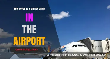 Exploring the Cost of Disney Magic at Airport Locations