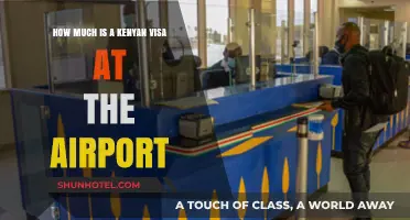 Kenyan Airport Visa: Costs and Application Process Explained