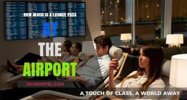 Unlocking Comfort: The Cost of Airport Lounge Access