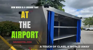 Airport Essentials: The Cost of Luggage Carts Revealed