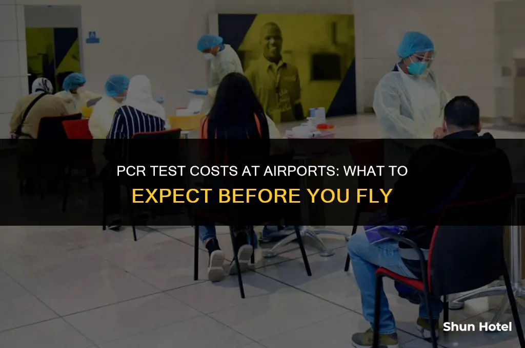 how much is a pcr test at airport