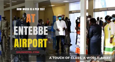 PCR Test Costs at Entebbe Airport: What You Need to Know