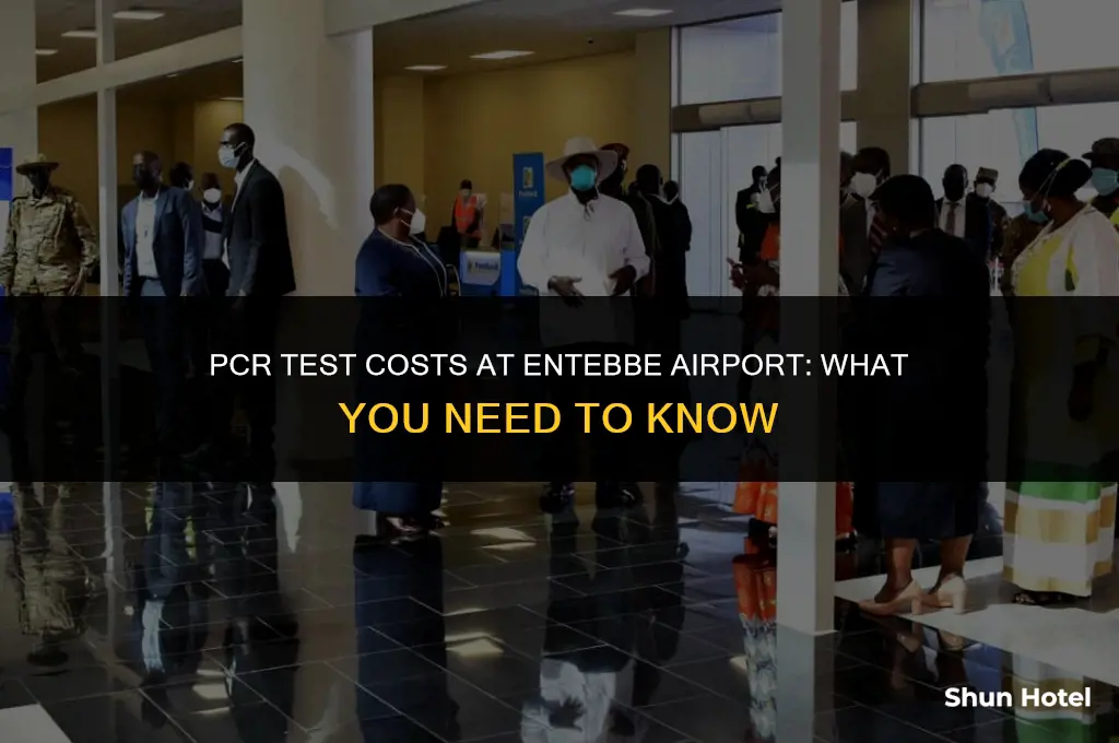 how much is a pcr test at entebbe airport