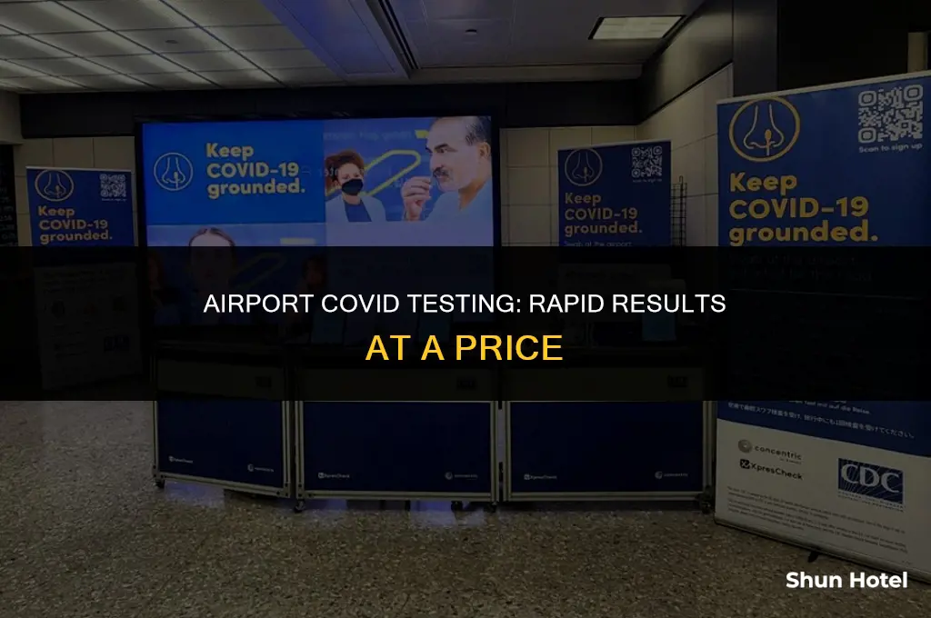 how much is a rapid covid test at the airport