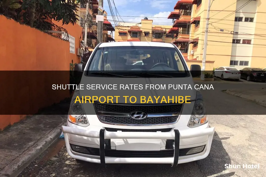 how much is a shuttlefrom punta cana airport to bayahibe