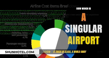 Decoding the Cost: A Deep Dive into Singular Airport Expenses