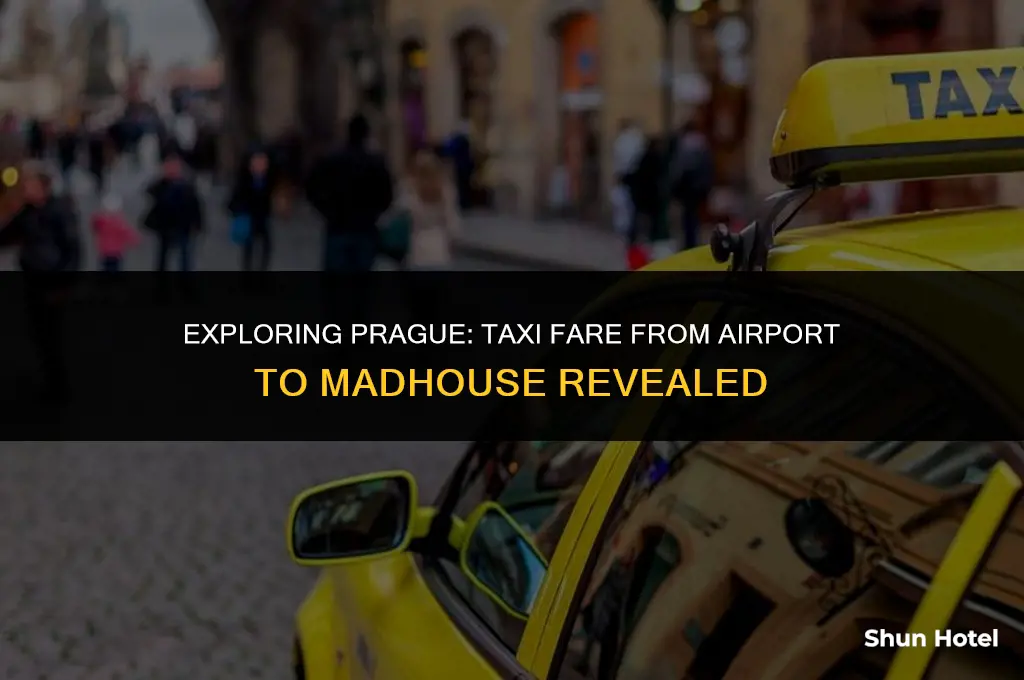 how much is a taxi from airport to madhouse prague