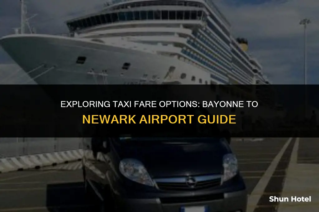 how much is a taxi from bayonne to newark airport