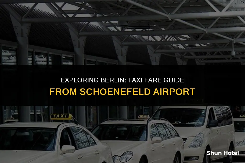 how much is a taxi from berlin schoenefeld airport