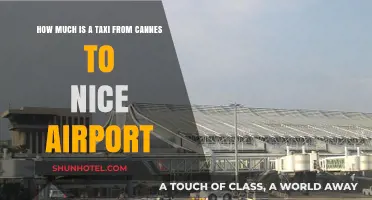 Cannes to Nice Airport Taxi: Your Essential Travel Guide