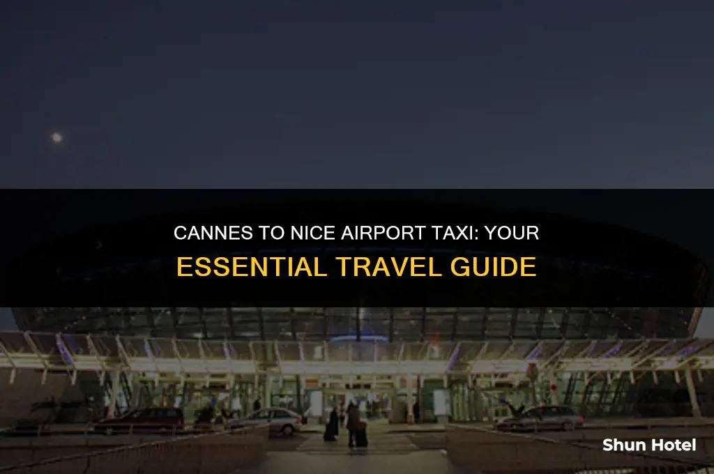 how much is a taxi from cannes to nice airport