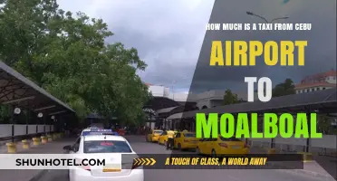 Cebu Airport to Moalboal: Taxi Fare and Travel Guide