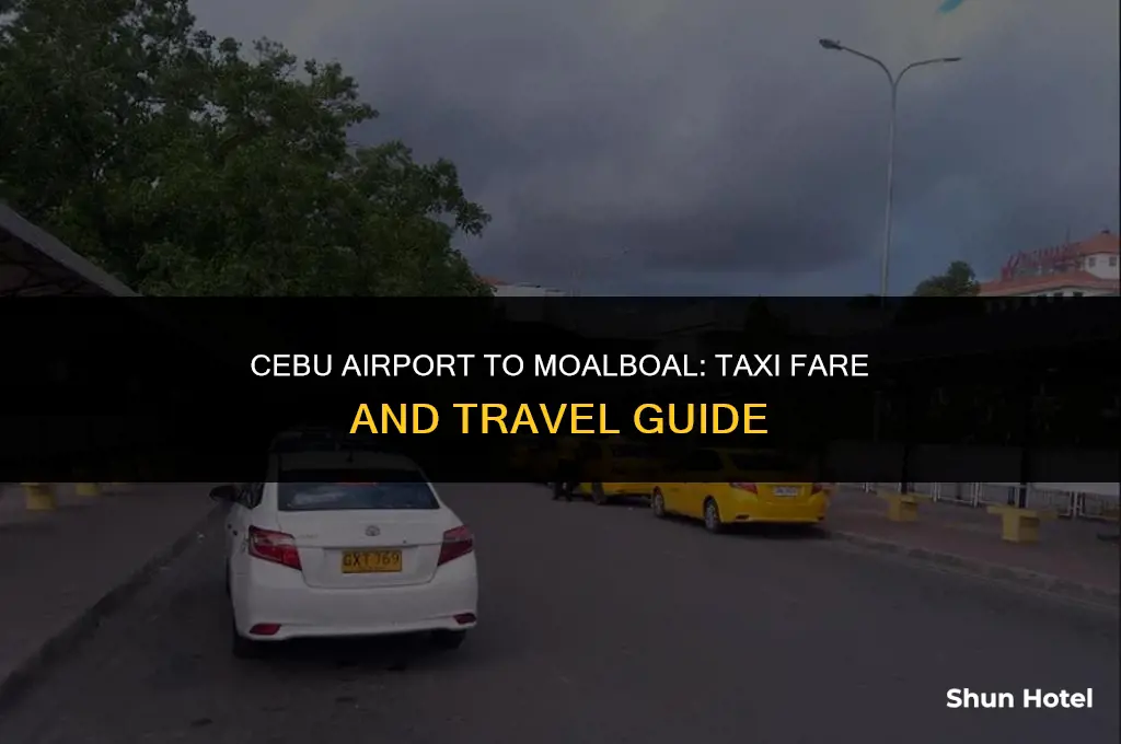 how much is a taxi from cebu airport to moalboal