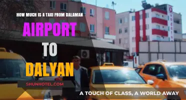 From Dalaman Airport to Dalyan: Your Essential Taxi Fare Guide