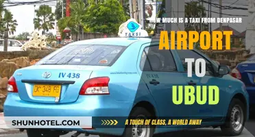 Bali Travel Guide: Taxi Fare from Denpasar Airport to Ubud