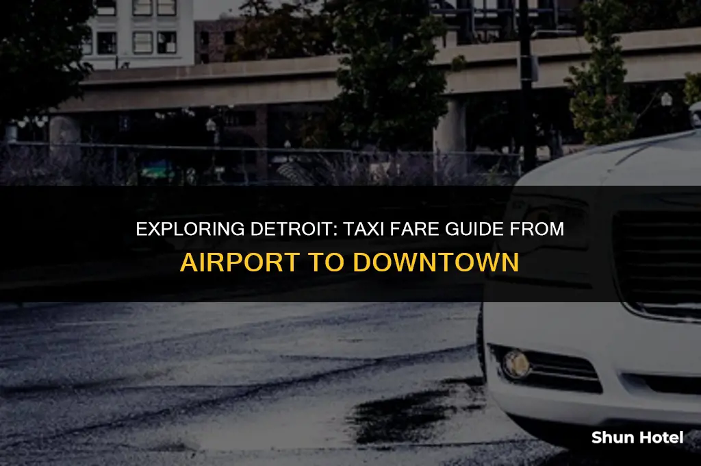 how much is a taxi from detroit airport to downtown