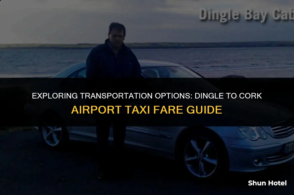 how much is a taxi from dingle to cork airport