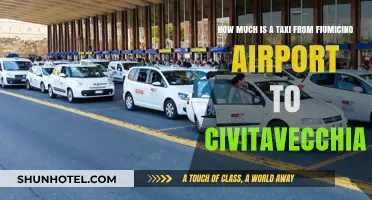 Exploring Taxi Fare Options: Fiumicino Airport to Civitavecchia