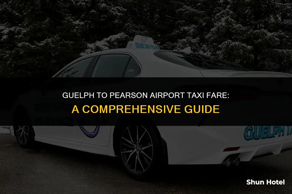 how much is a taxi from guelph to pearson airport