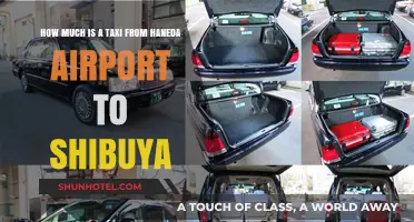 Traveling Tokyo: Haneda Airport to Shibuya Taxi Fare Guide