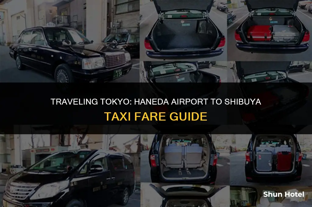 how much is a taxi from haneda airport to shibuya
