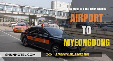From Incheon Airport to Myeongdong: Your Essential Taxi Guide
