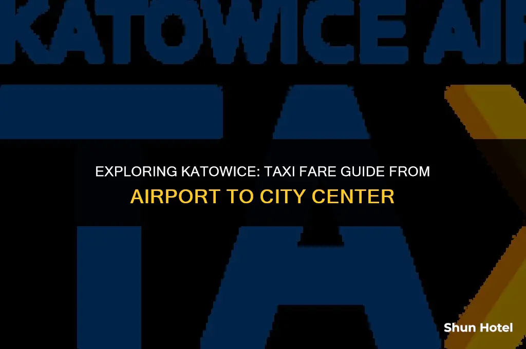 how much is a taxi from katowice airport to katowice