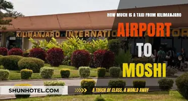Kilimanjaro Airport to Moshi: Taxi Fare Guide