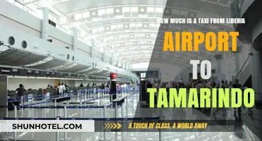 Liberia Airport to Tamarindo: Taxi Fare Guide for Travelers