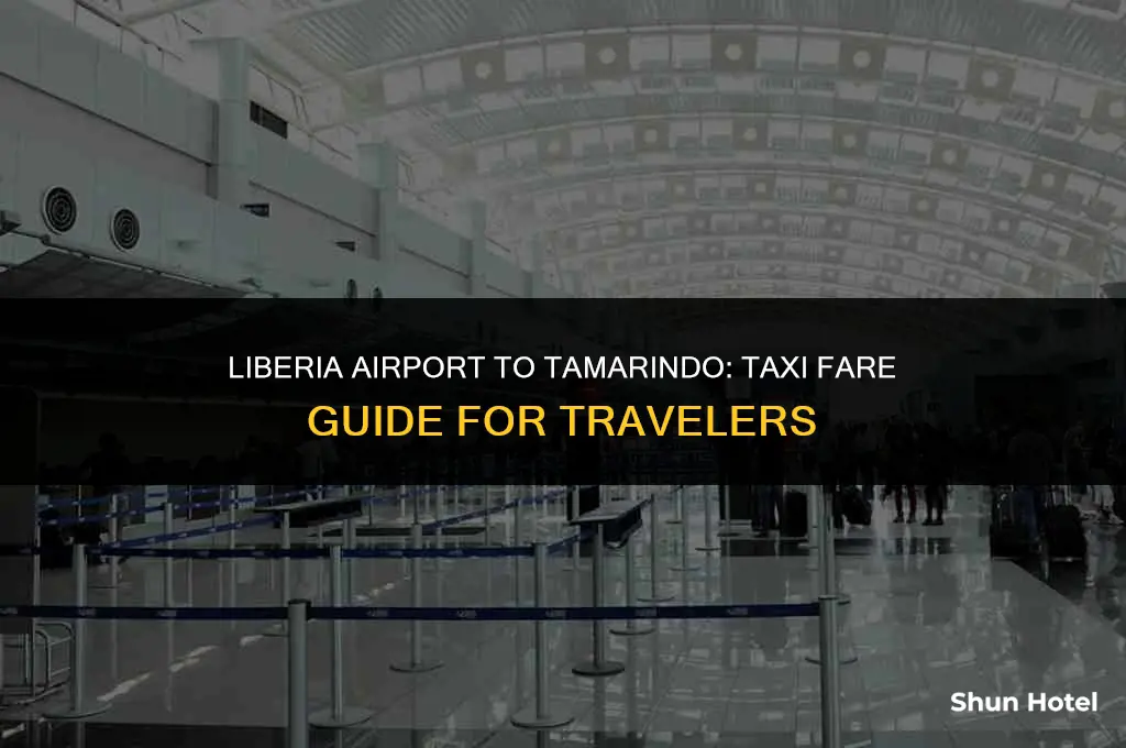 how much is a taxi from liberia airport to tamarindo