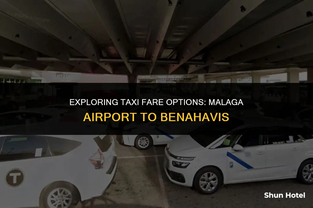 how much is a taxi from malaga airport to benahavis