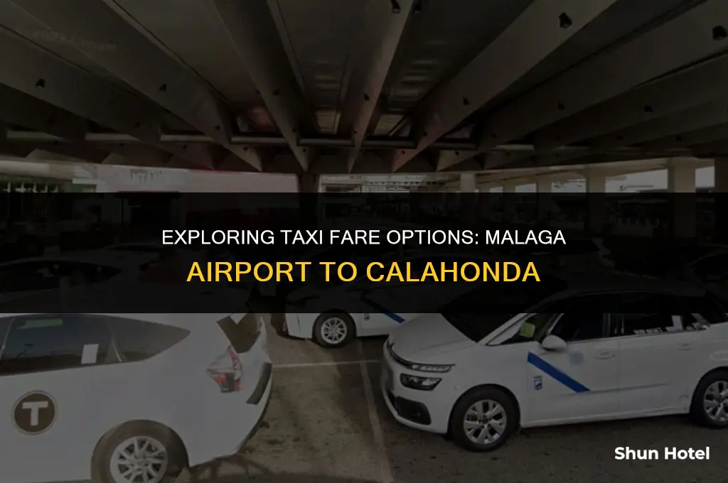 how much is a taxi from malaga airport to calahonda