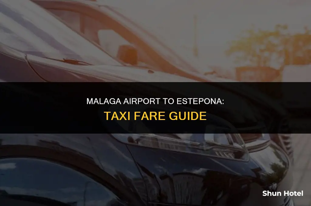 how much is a taxi from malaga airport to estepona