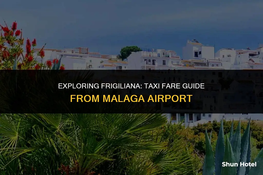 how much is a taxi from malaga airport to frigiliana
